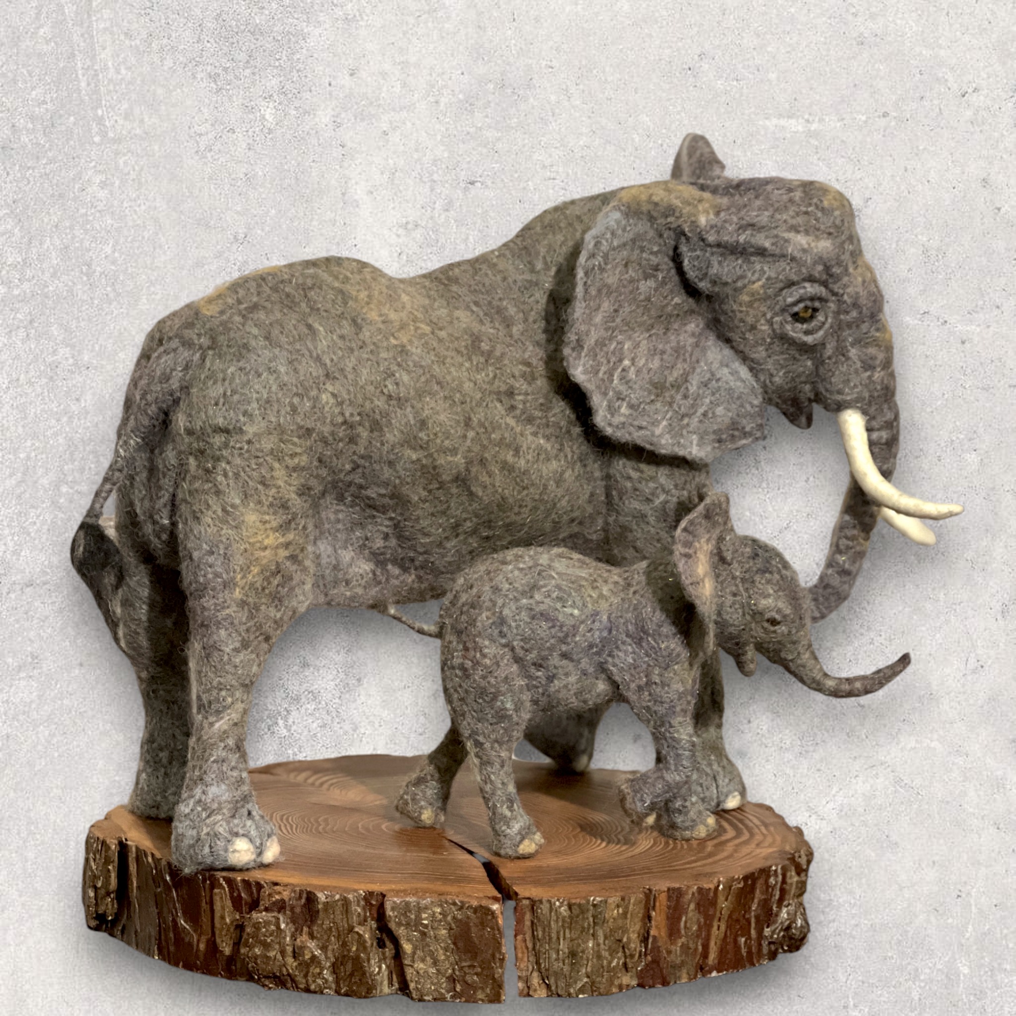 Baba & Son - Bull Elephant with his son